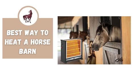 horses barn heating